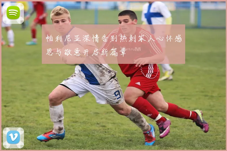 帕利尼亚深情告别热刺家人心怀感恩与敬意开启新篇章